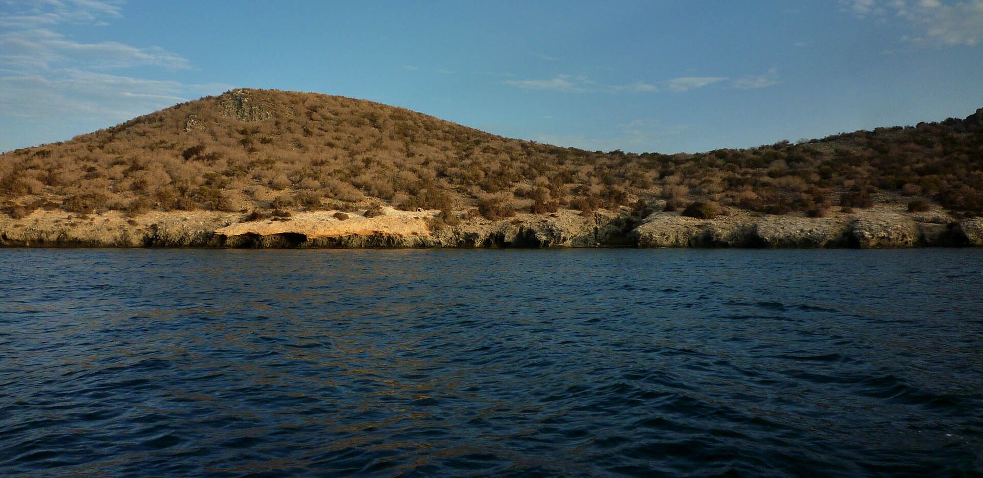 Isla Perdiguera